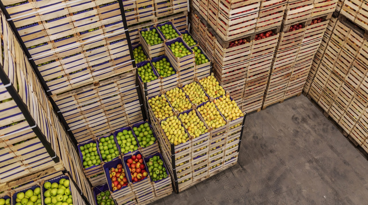 Rethinking Africa's Growth Through Energy, Climate, and Food Systems