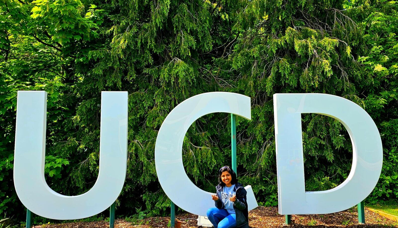 UCD leads €5.7 million AI centre to accelerate global climate action