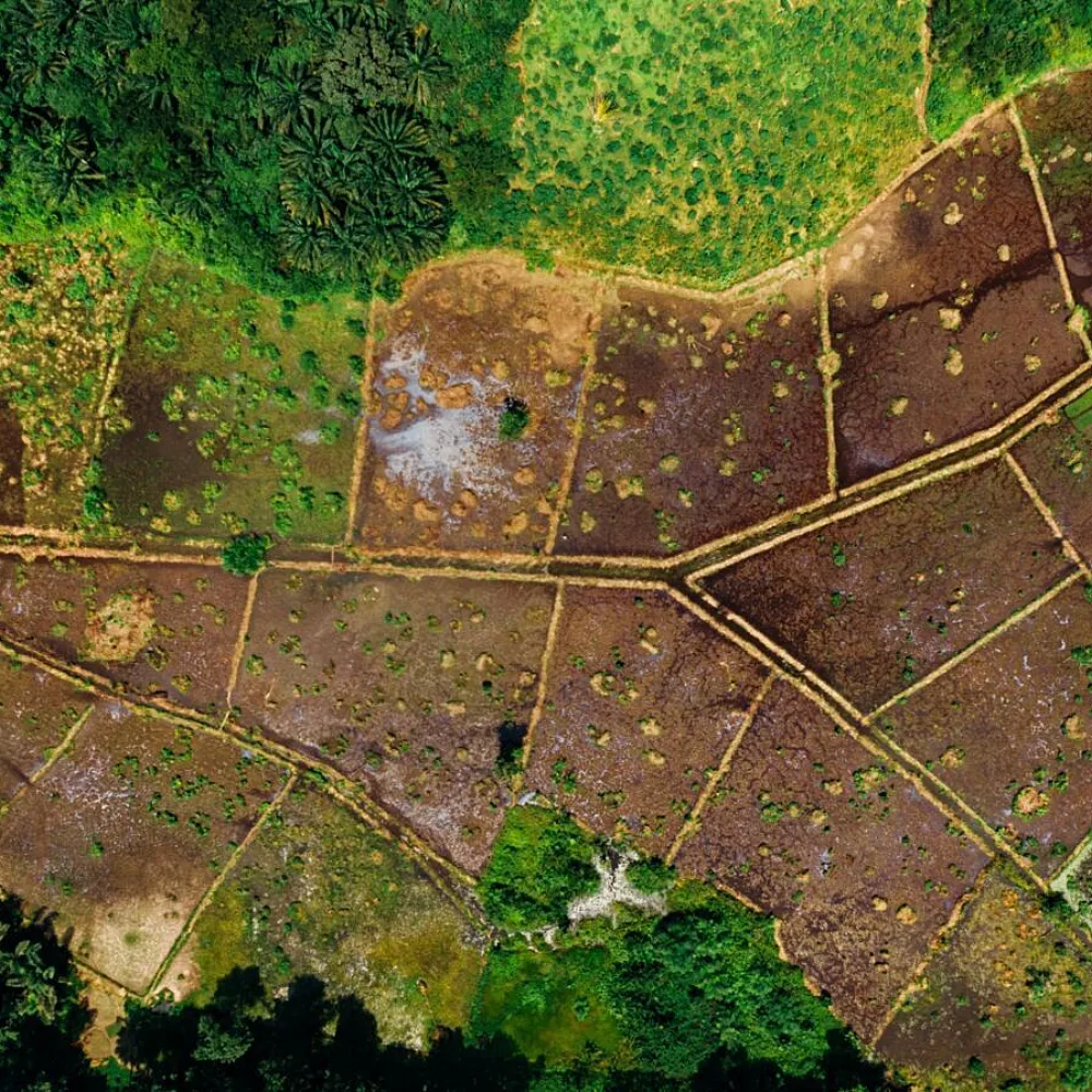 NatureHelm and New Forests Test Seven Metrics to Make Nature Investable Globally