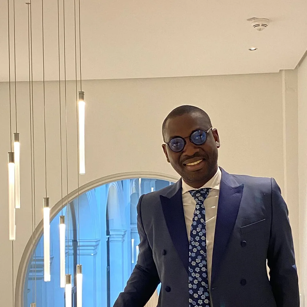 UN appoints Nigerian expert Adeleke Co-Chair, marking milestone for African sustainability leadership