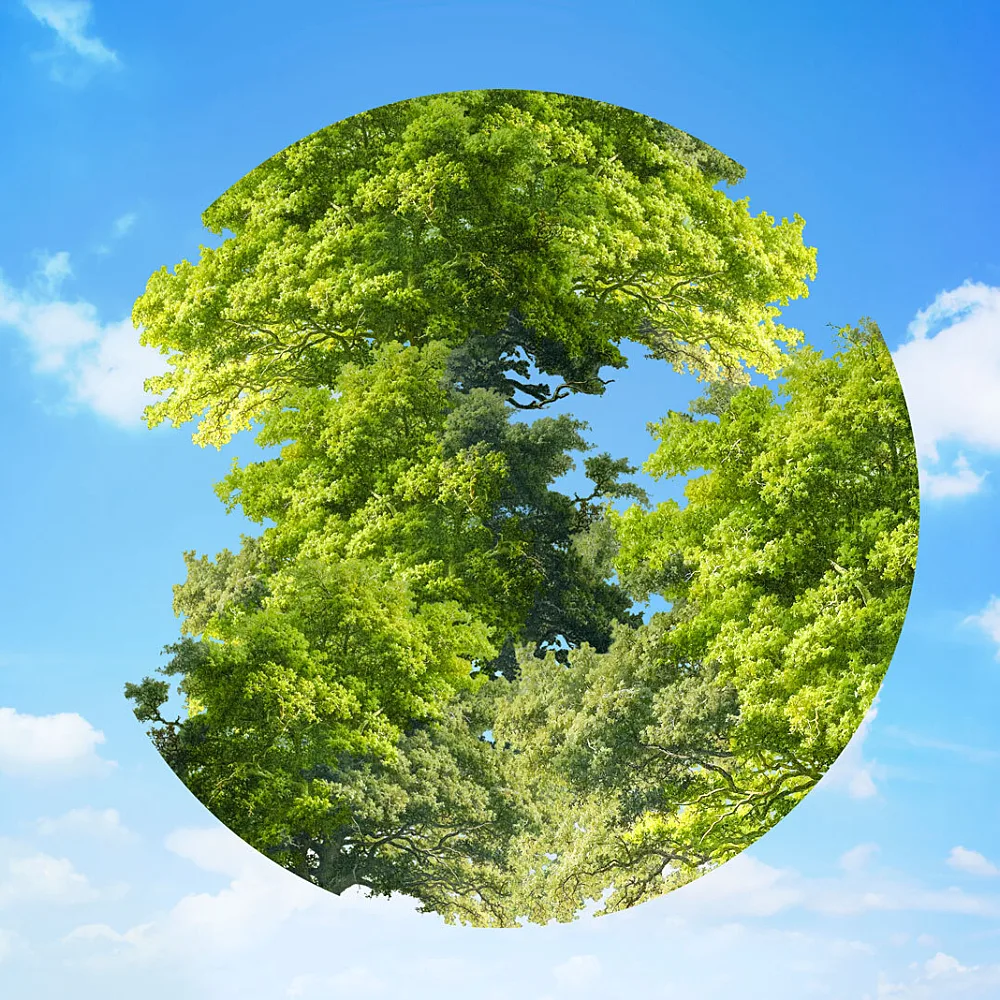 Nigeria’s Environment at Stake: MRA Demands Open Data for National Green Resilience