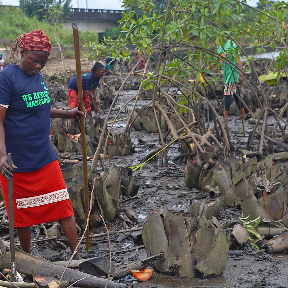 In Nigeria's Oil-Ravaged Niger Delta, Women Push Back Against Systemic Exclusion