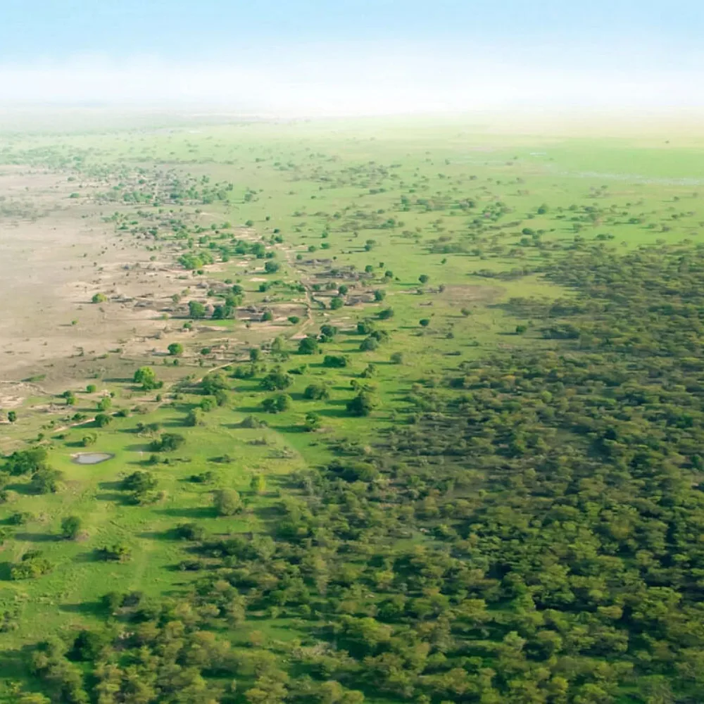 COP30 Renewed Push Seeks Major Financing to Accelerate Africa's Great Green Wall