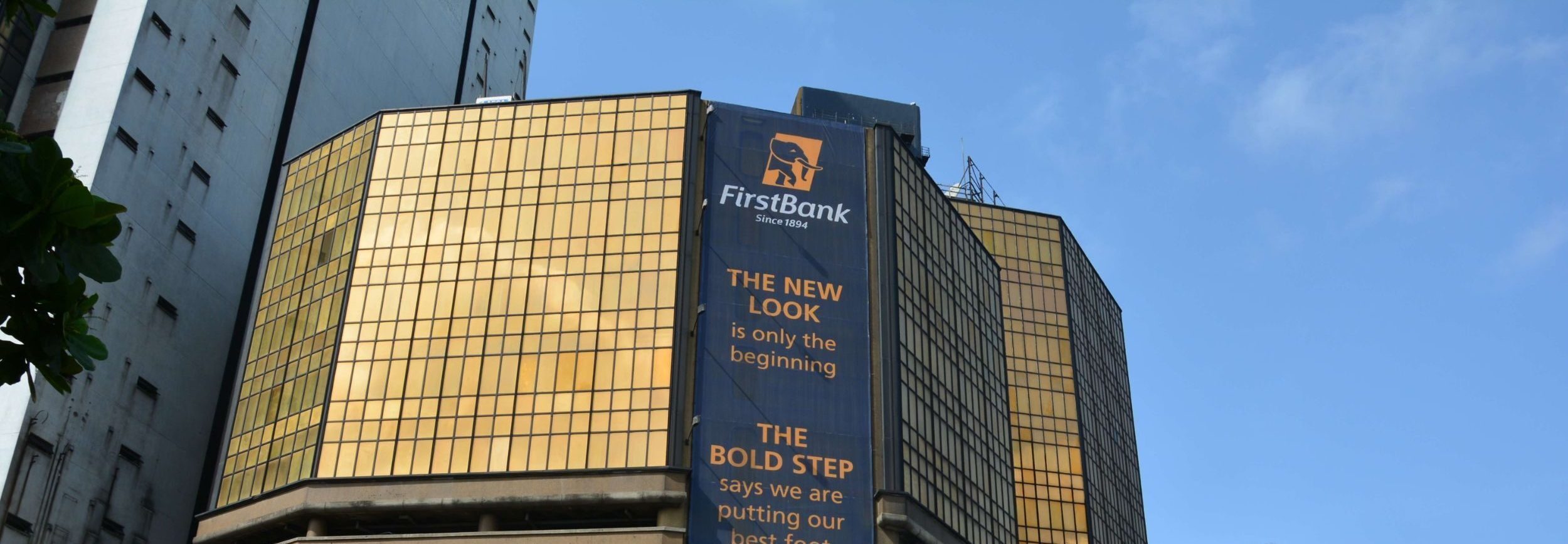 FirstBank Deepens Climate Action, Planting 50,000 Trees and Embedding Sustainability Over Two Years