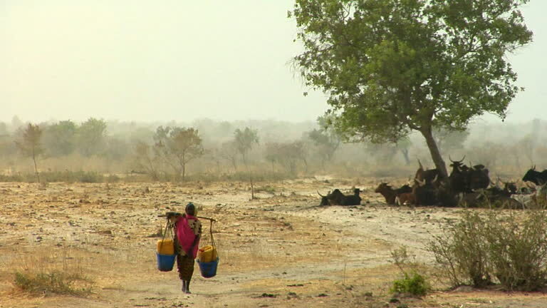 Mozambique Secures Drought Cover, Africa's Risk Pool Hits $150 Million