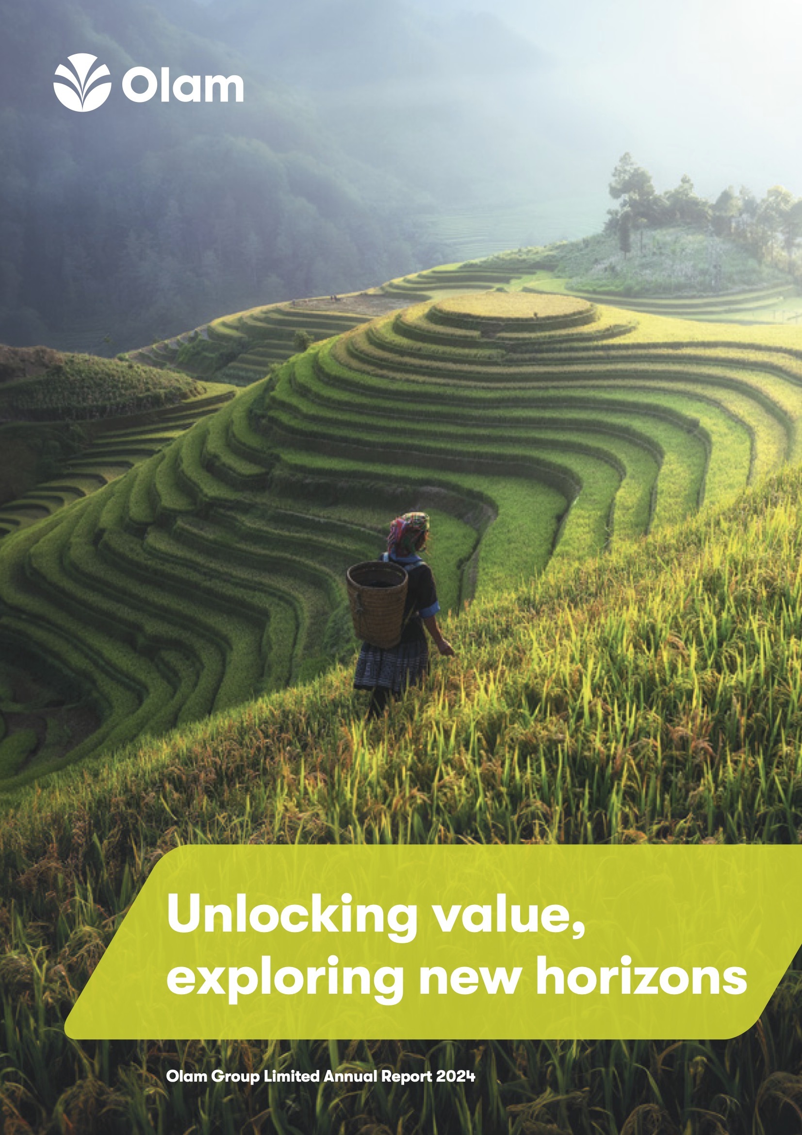 Sustainability Report Review – Olam Group Limited, 2024